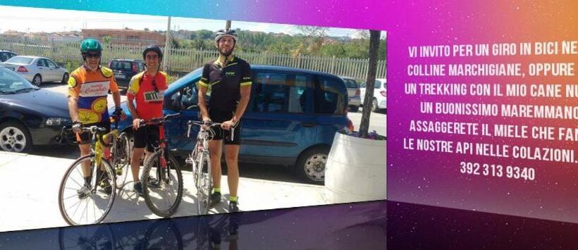 Трехместный Номер Комфорт, Agriturismo Campo Aperto