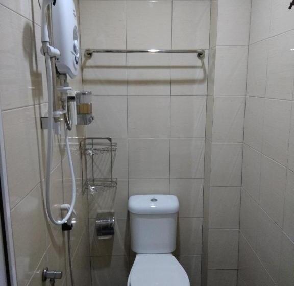 Номер Стандарт, Pz
