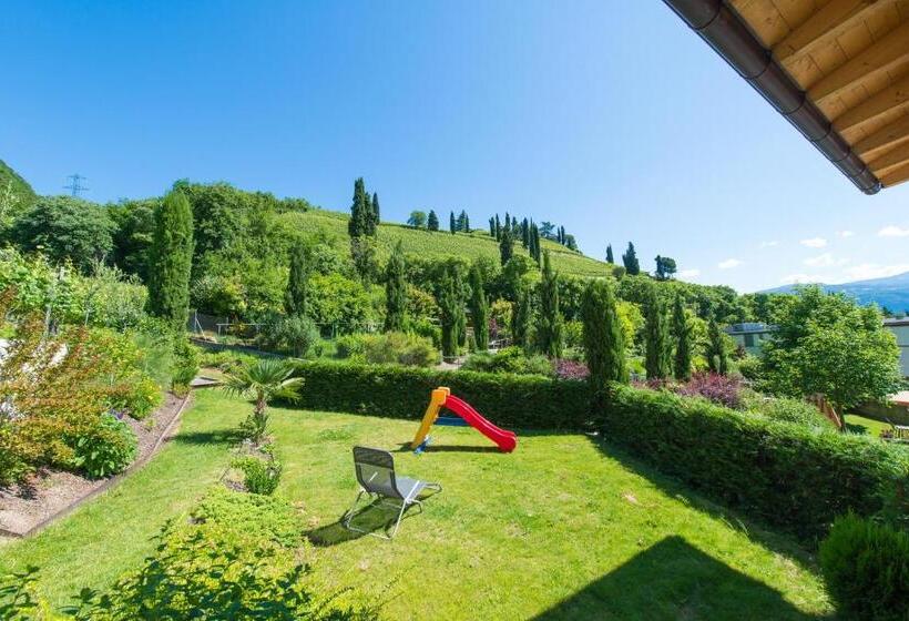 テラス付き１ベッドルームアパートメント, Weifnerhof