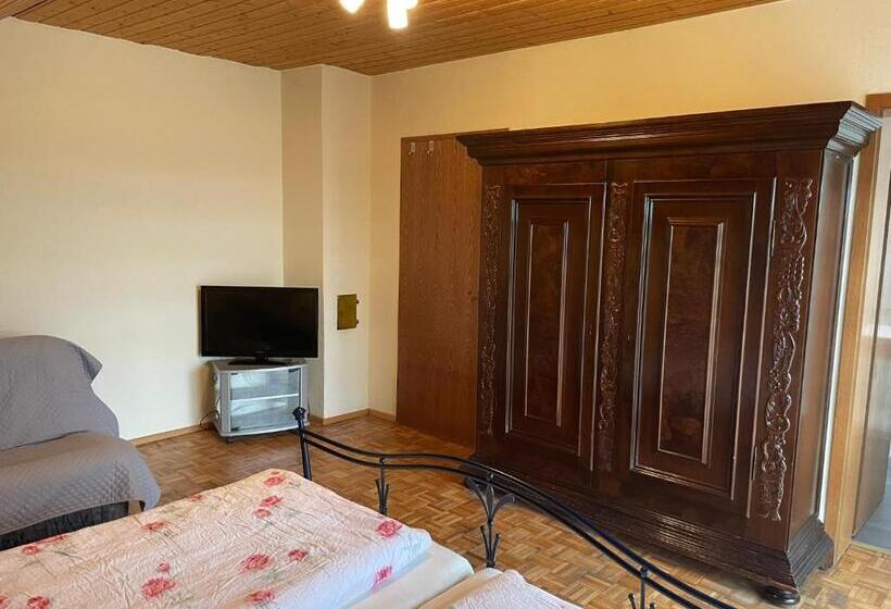 Апартаменты 1 Спальня, Gästehaus Grünberger