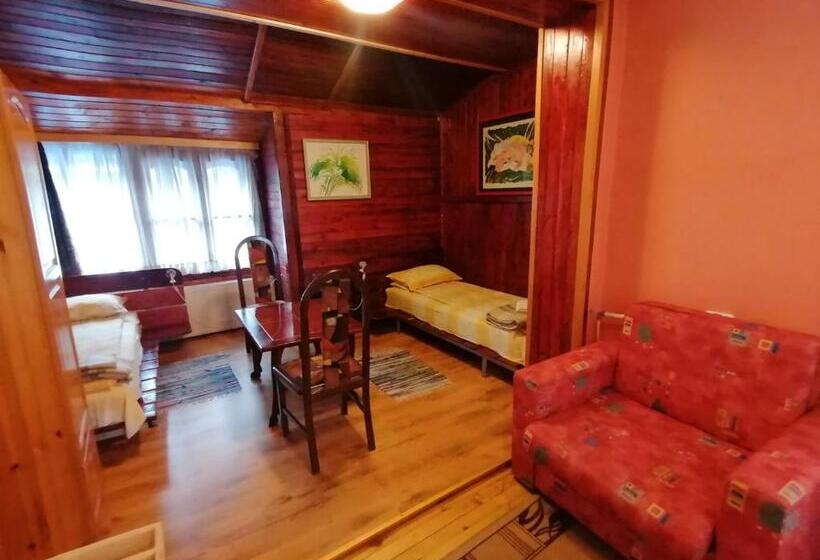 スタンダード４人部屋, семеен хотел калина Family Hotel Kalina говедарци