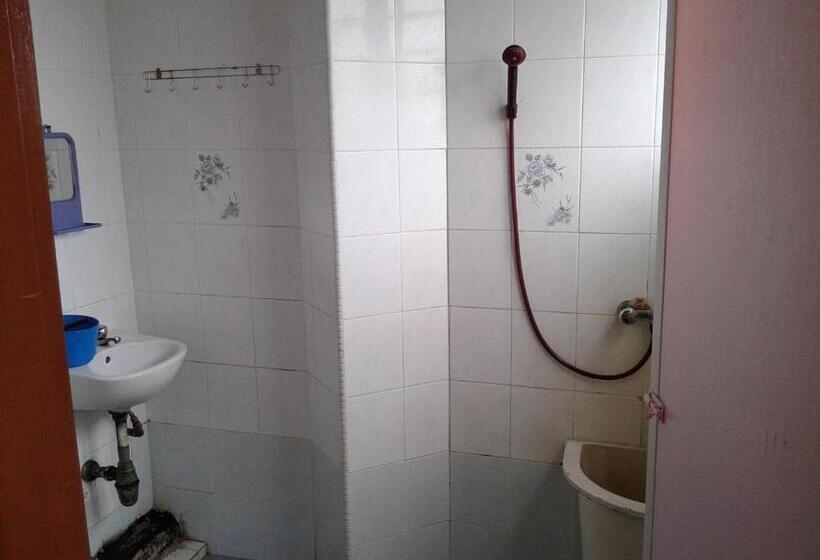 Номер Стандарт, Malaya