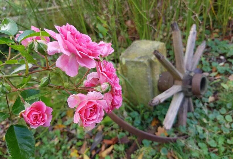 スタンダードルーム, Pension Alte Schmiede