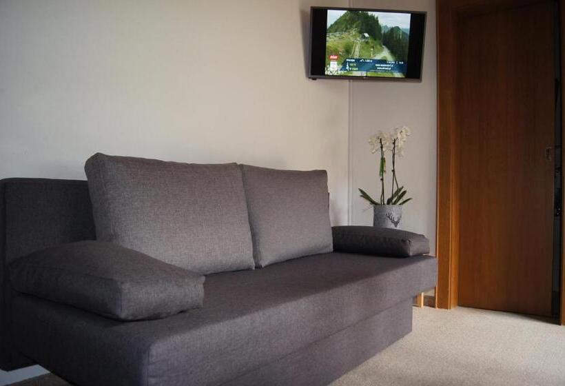 标准三人间, Pension Schipflinger Itter