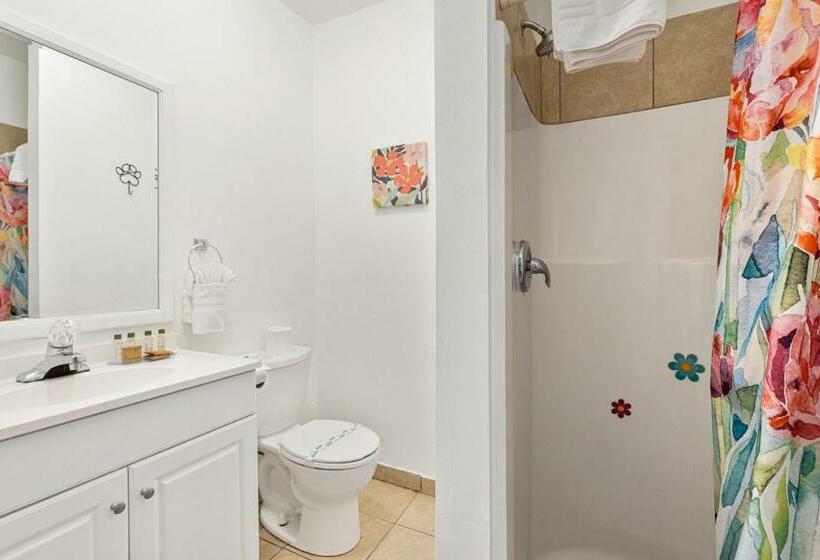 غرفة قياسية, Inn At Palm Springs