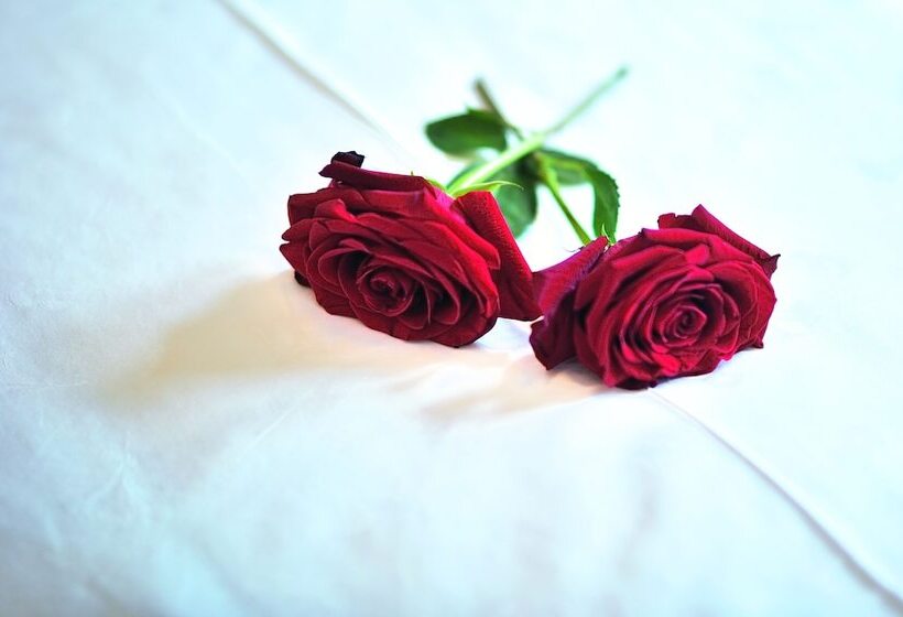 اتاق استاندارد, B&b Hotel Die Bergquelle