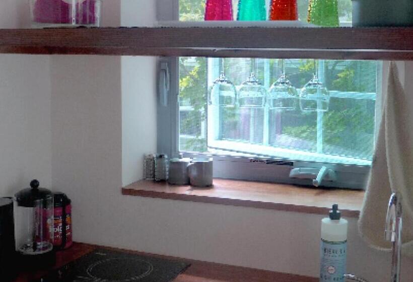 스탠다드 스튜디오 정원 전망, Morning Glory B&b