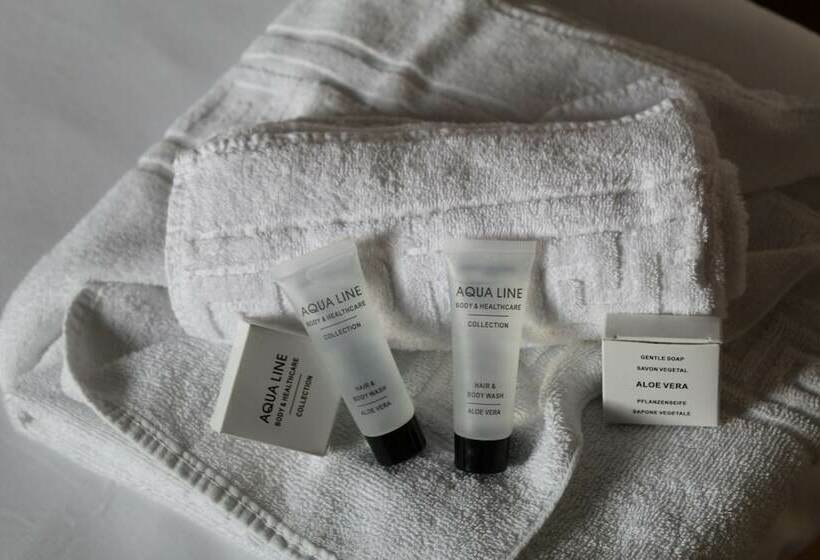 스탠다드 룸, Irish College Leuven