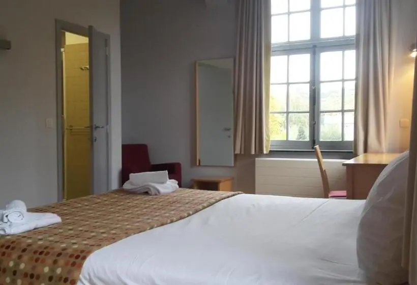 Standard-huone, Irish College Leuven