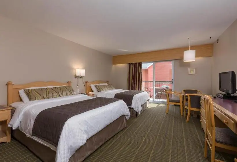 اتاق استاندارد, Motel Castel De La Mer