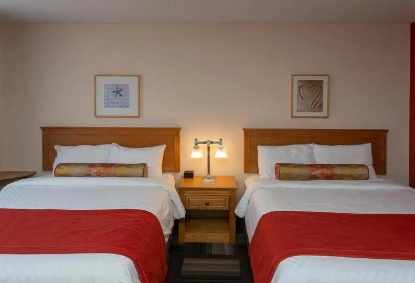 استودیوی استاندارد, Motel Castel De La Mer