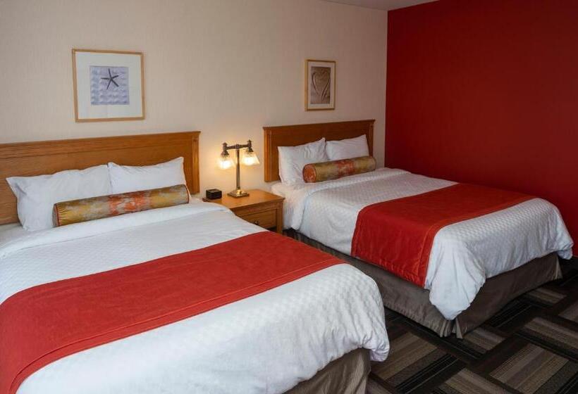 Студия Стандарт, Motel Castel De La Mer