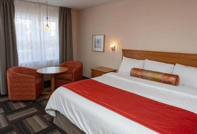 استودیوی لوکس, Motel Castel De La Mer