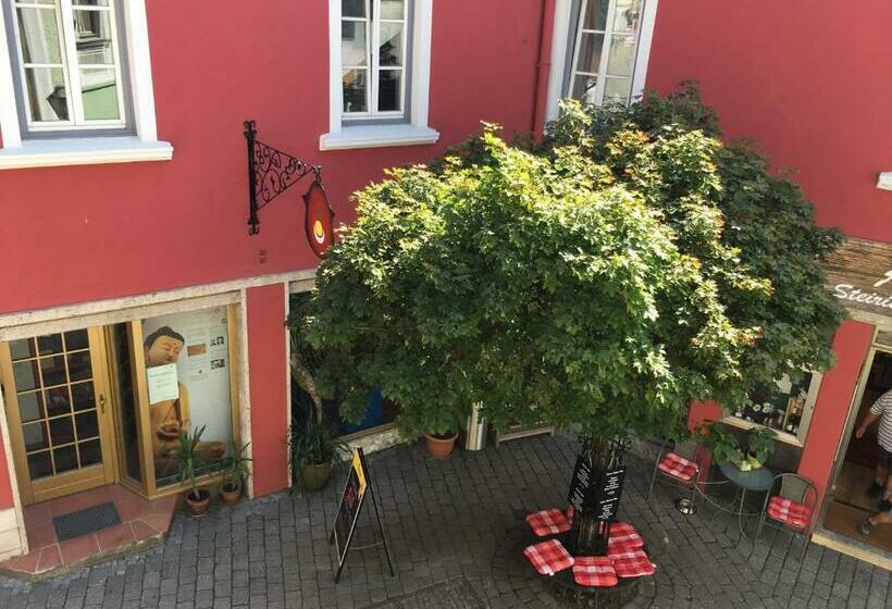 غرفة قياسية, Jázmin Panzió Közös Konyhával