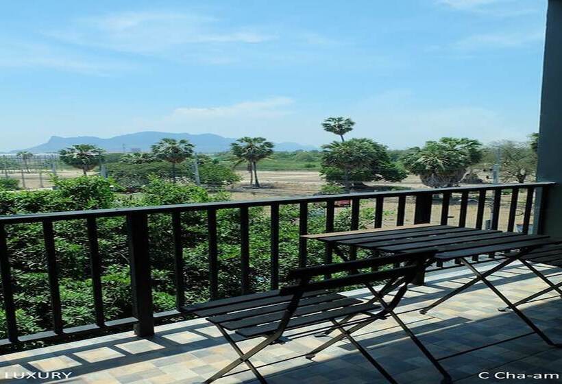 חדר דלוקס, C Chaam