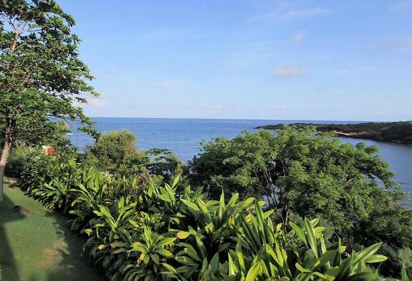 آپارتمان 1 خوابه, Two Bays Beach Villa Apartment And Studios