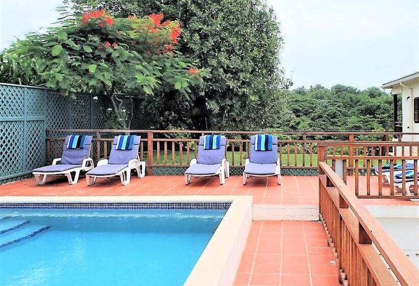 آپارتمان 1 خوابه, Two Bays Beach Villa Apartment And Studios