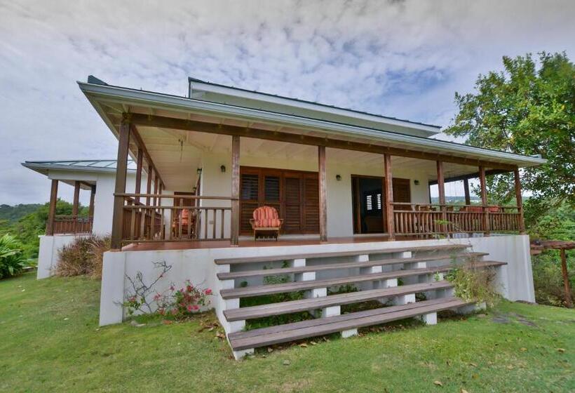 آپارتمان 2 خوابه, Two Bays Beach Villa Apartment And Studios