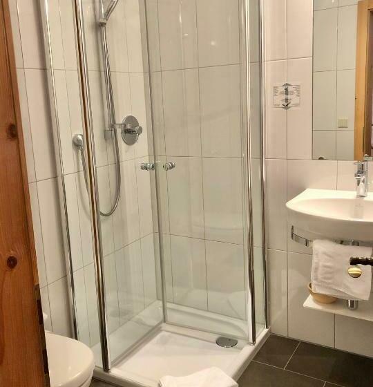 غرفة قياسية فردية, Dreiländerblick Dornbirn