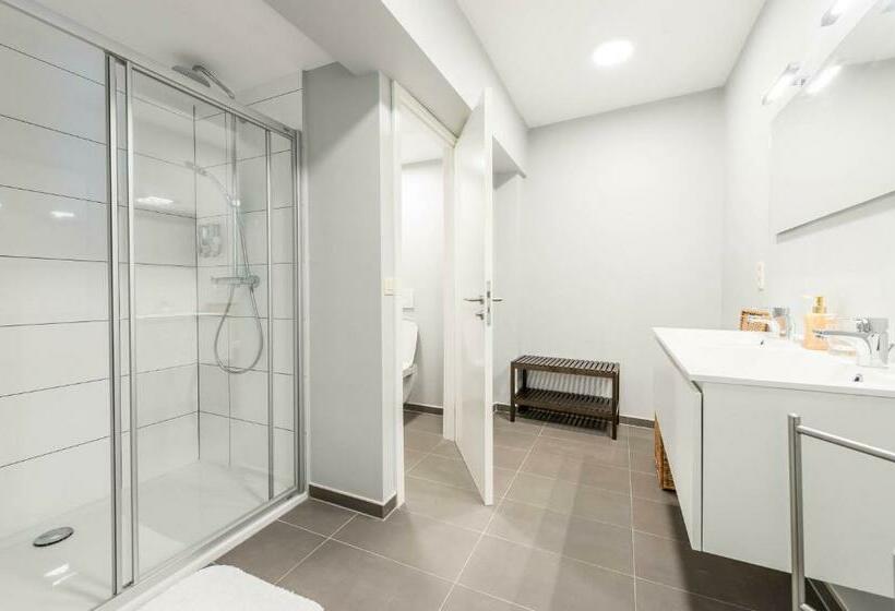 استودیوی لوکس, Temse