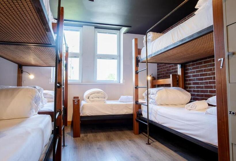 تختخواب در اتاق مشترک, The Nest Boutique Hostel