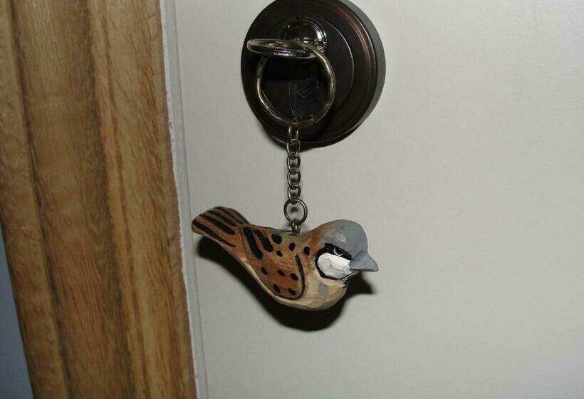 חדר סופריור לשלושה, B&b Hedera