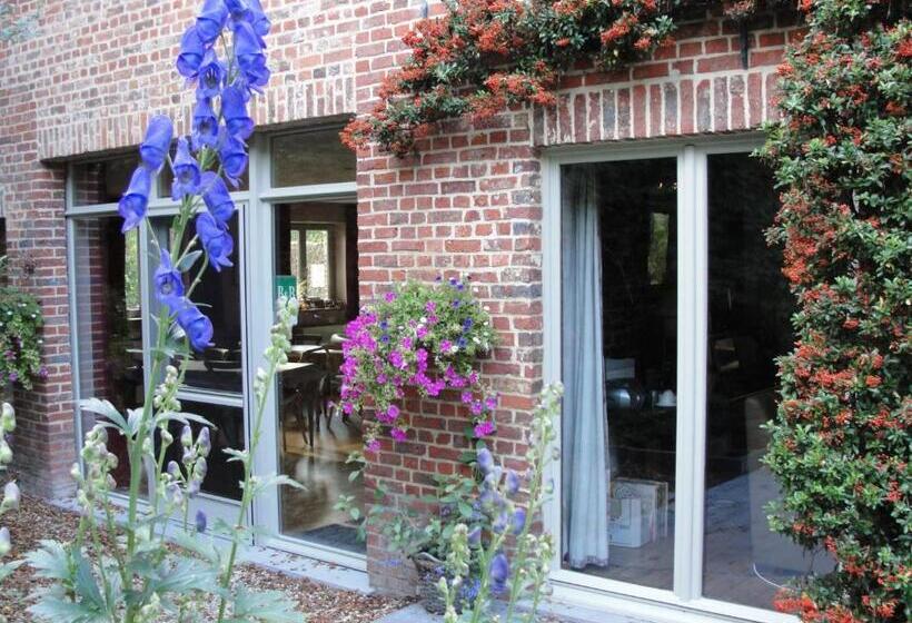 חדר סופריור לשלושה, B&b Hedera