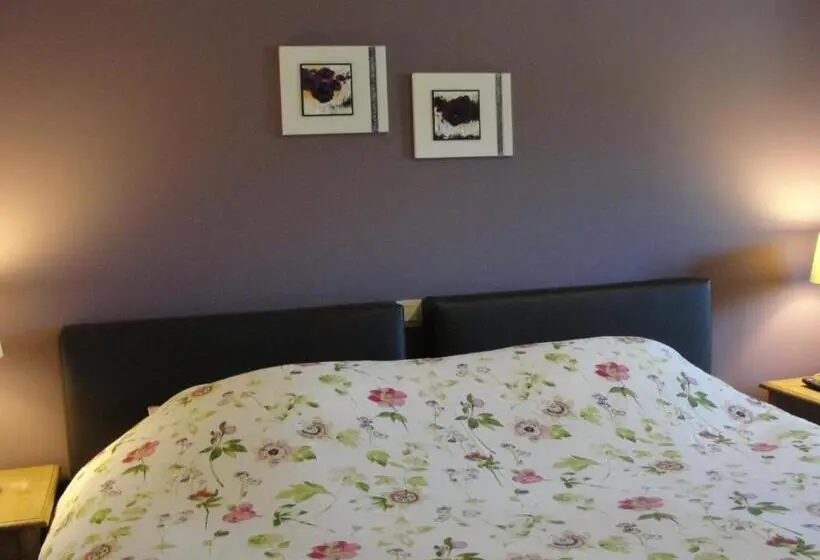 Superior-huone, B&b Hedera