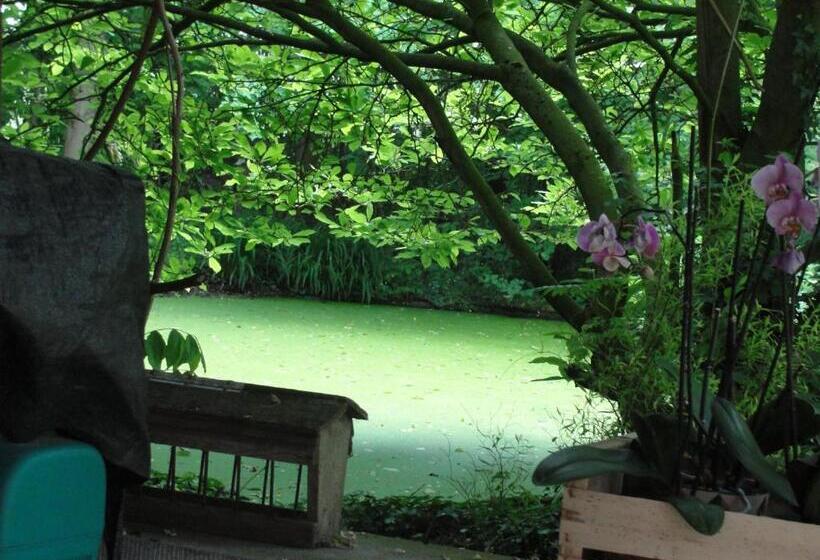 חדר סופריור, B&b Hedera