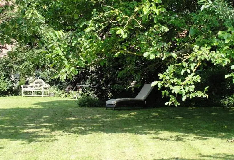 Superior-huone, B&b Hedera