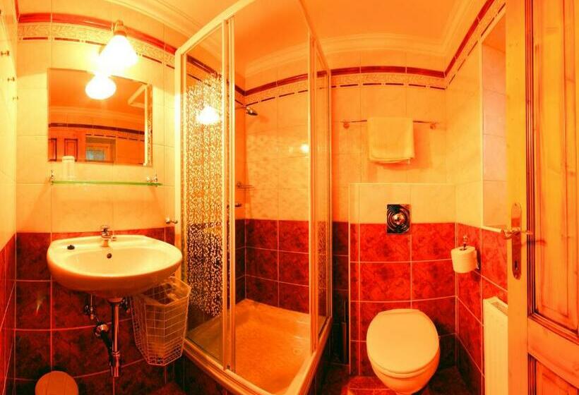 غرفة قياسية مزوَّدة بشُرفة, Kreutzer