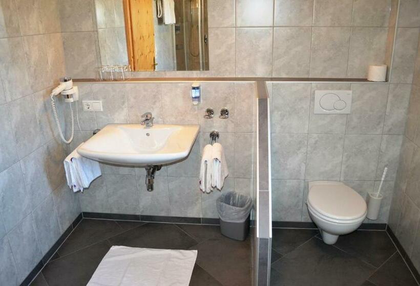 Люкс с Балконом, Rietzerhof