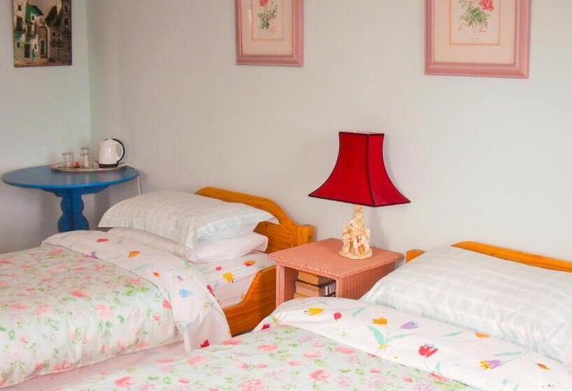 غرفة ديلوكس مطلّة علي الحديقة, The Well Meadow B&b