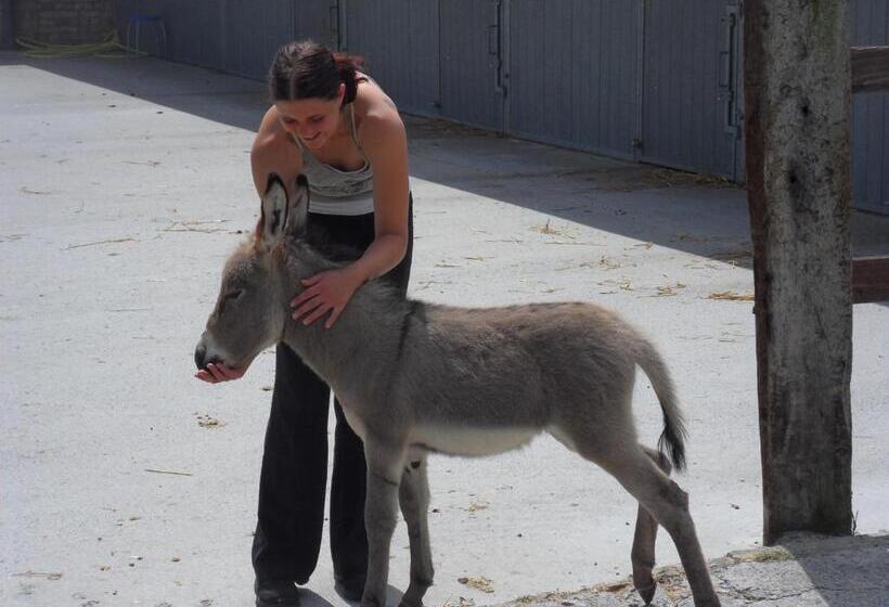 חדר קומפורט, B&b Het Schaliënhof