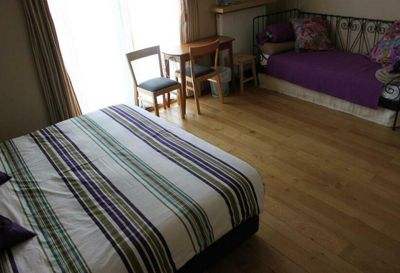 غرفة قياسية, B&b Lomolen