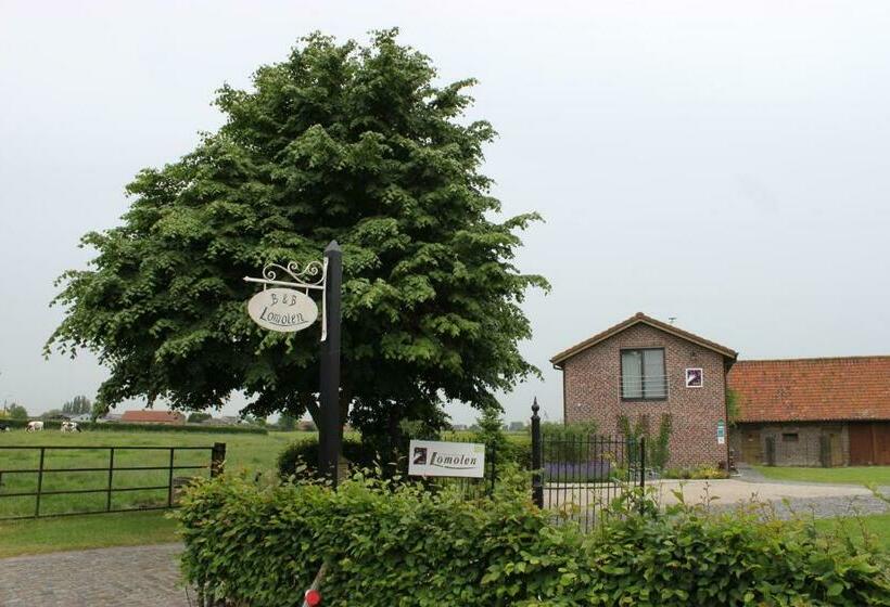 غرفة قياسية, B&b Lomolen