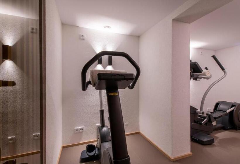 Апартаменты Deluxe 1 Спальня, Bühlhof Appartements