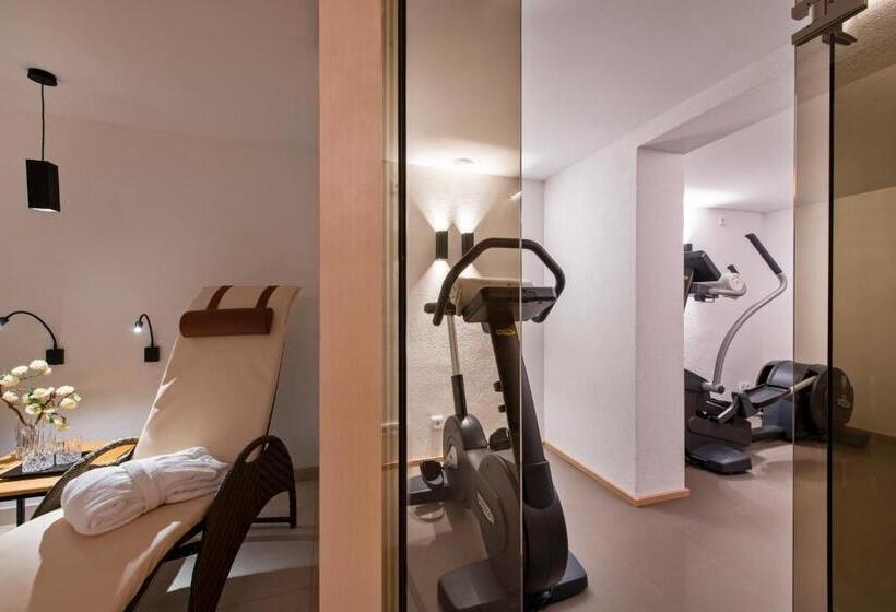 Апартаменты Deluxe 1 Спальня, Bühlhof Appartements