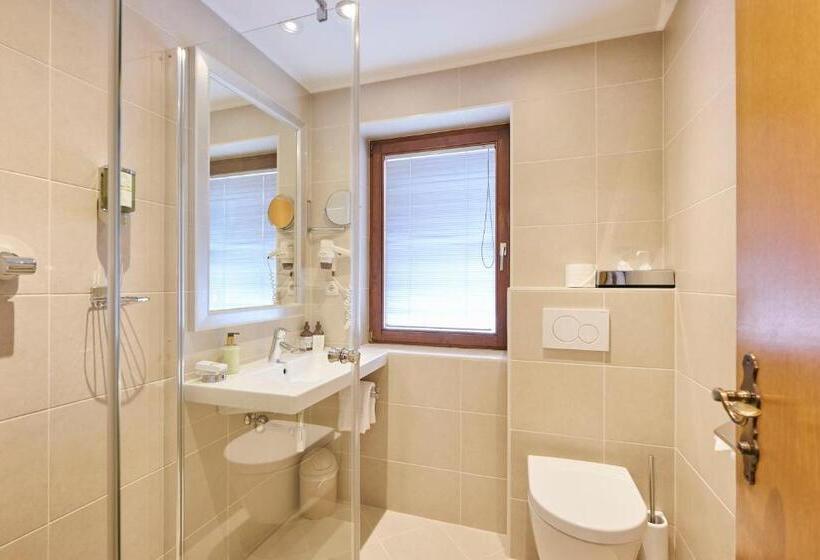 חדר סטנדרט יחיד, Garni Sursilva