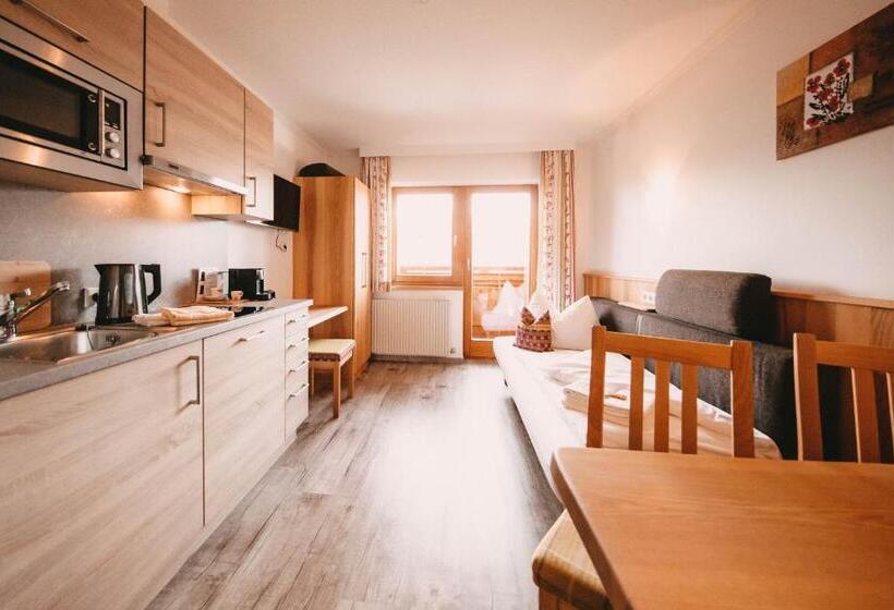 침실 1개 발코니 아파트, Posers Bergwelt B&b