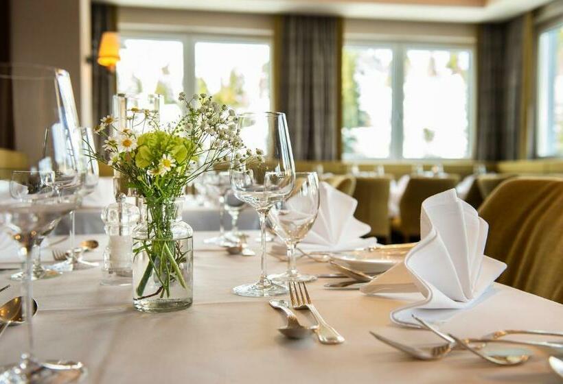 חדר סטנדרט יחיד, Römerhof Superior