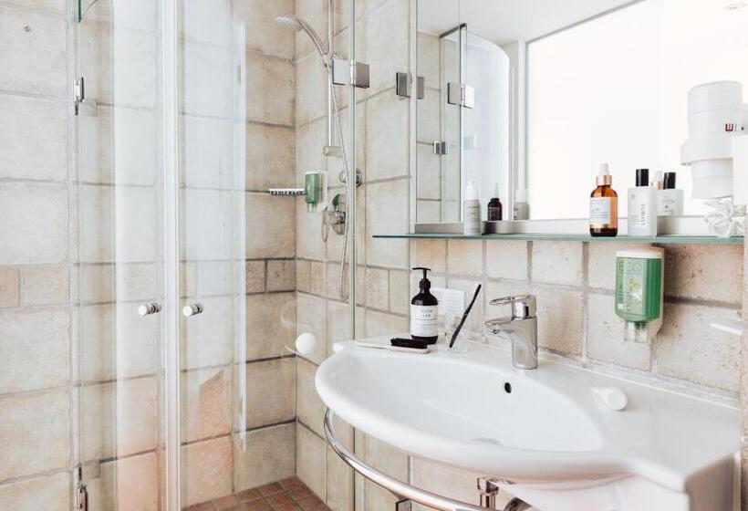 חדר סטנדרט יחיד, Römerhof Superior