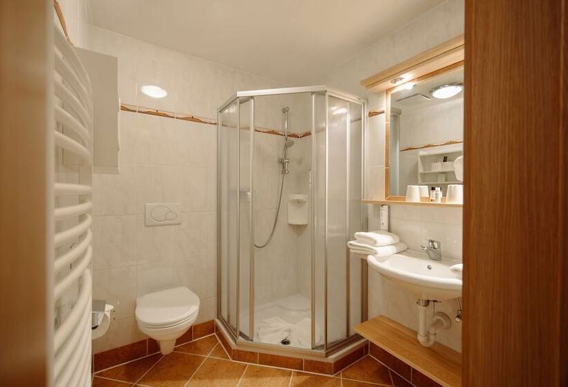 Habitació Comfort, Waldfrieden