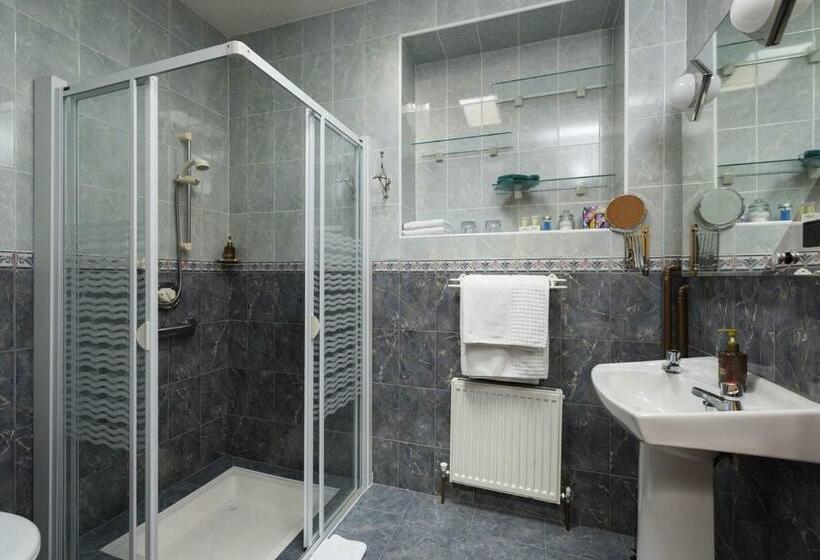 带大床的标准间, Kilbree House B&b