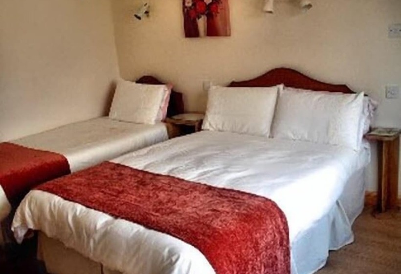 标准间, Maryville Bed And Breakfast