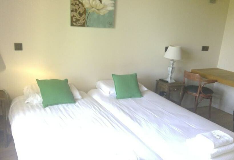 Номер Стандарт, B&b De Steenhove