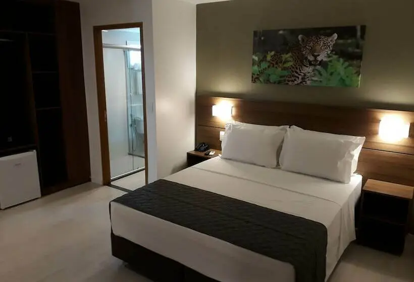 Chambre Supérieure, Bristol Umarizal Belem
