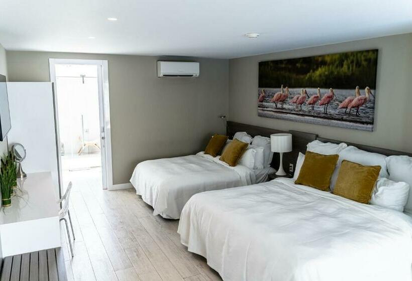 سوییت با چشمانداز استخر, Ocean Z Boutique