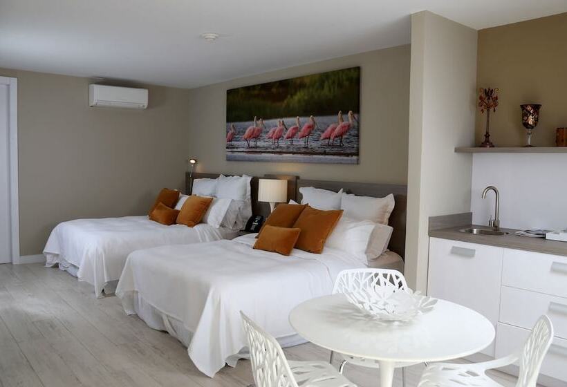 Suite Queen Bed, Ocean Z Boutique