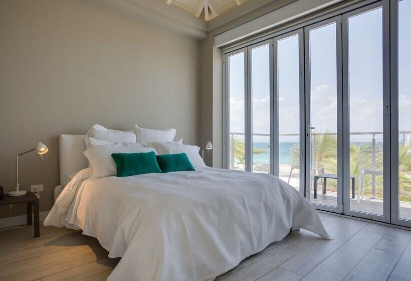 اتاق عادی, Ocean Z Boutique